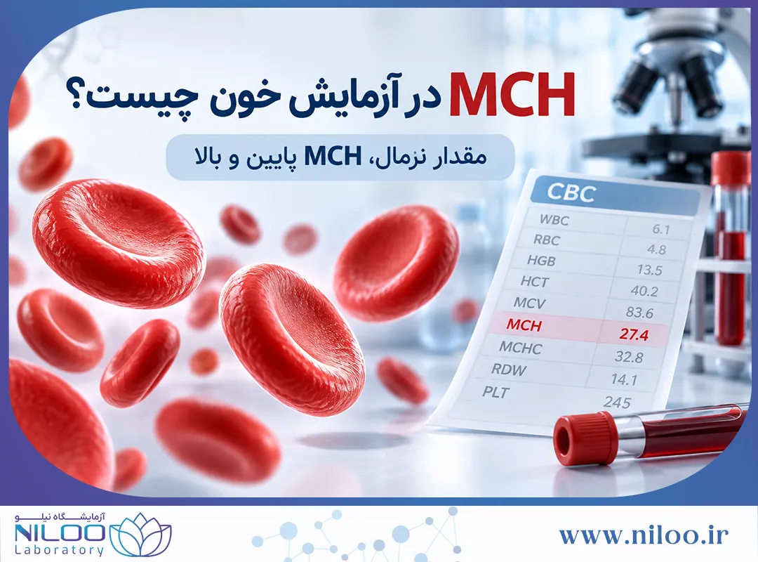 MCH در آزمایش خون چیست؟ مقدار نرمال، MCH پایین و بالا