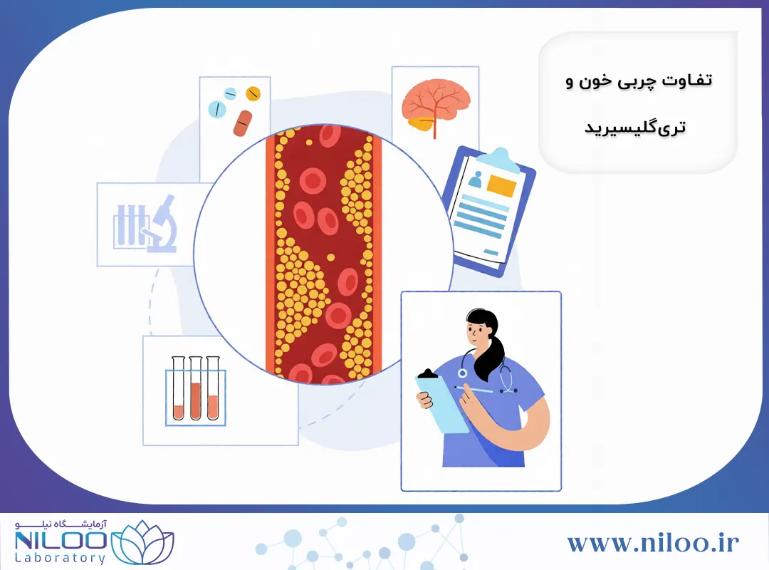 تفاوت کلسترول و تری گلیسیرید در چربی خون چیست؟
