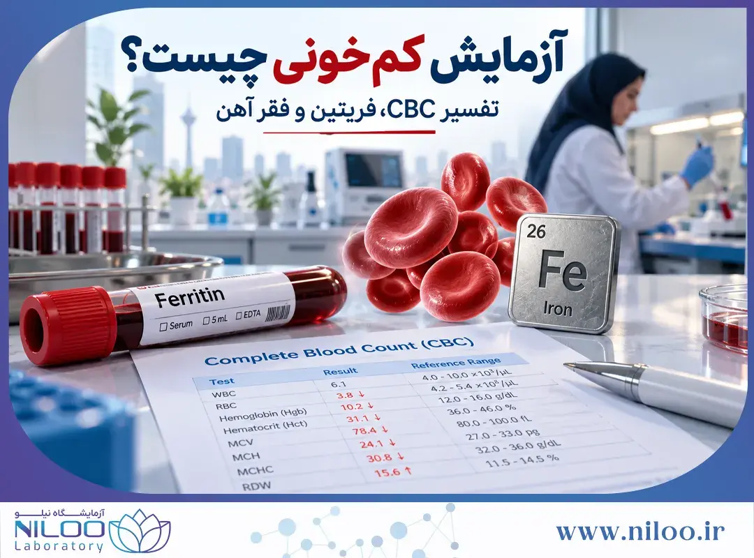 آزمایش کم خونی چیست؟ تفسیر CBC، فریتین و فقر آهن