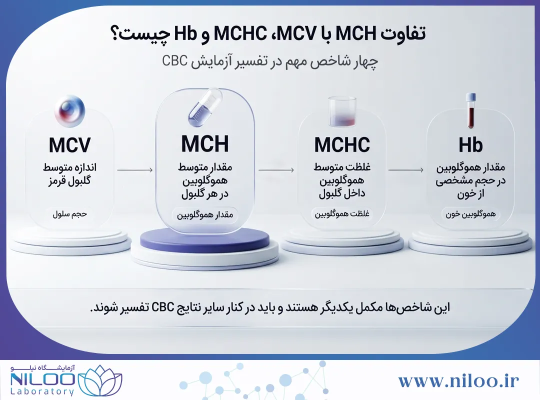 تفاوت MCH، MCV و MCHC