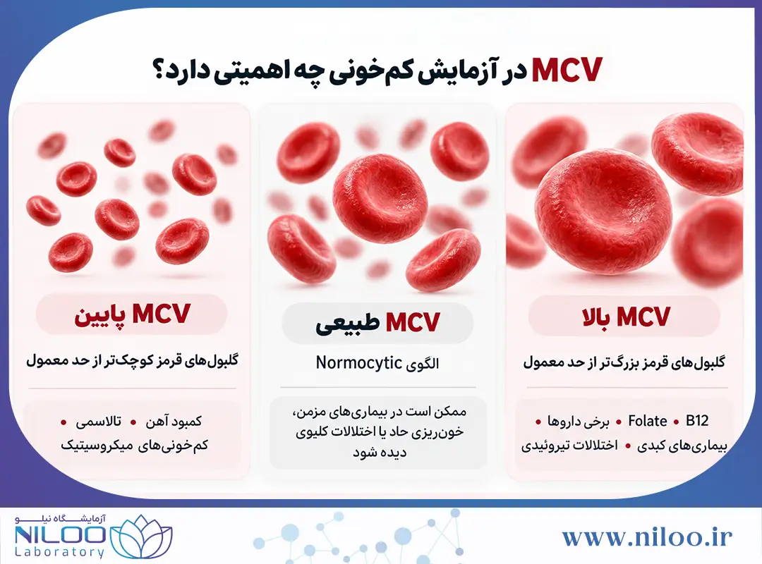 MCV در آزمایش کم خونی