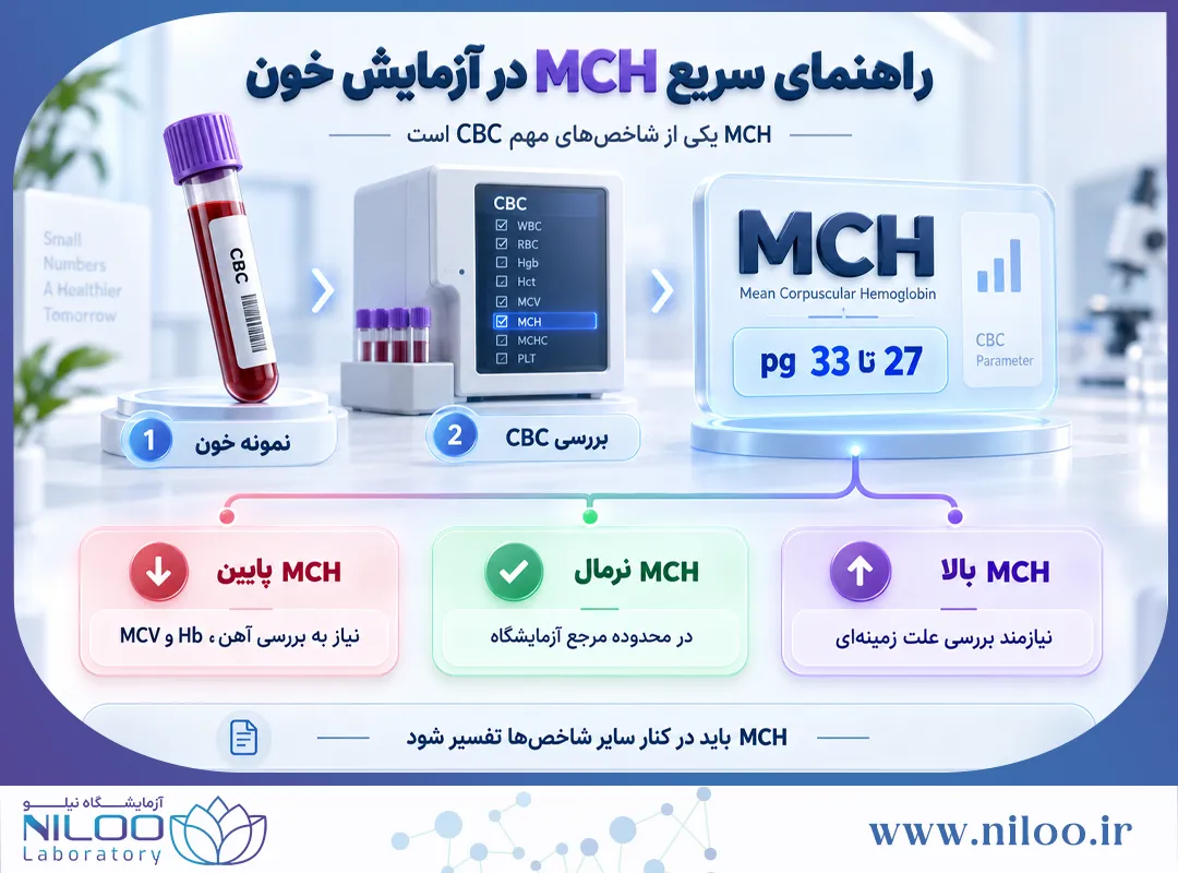 mch در آزمایش خون