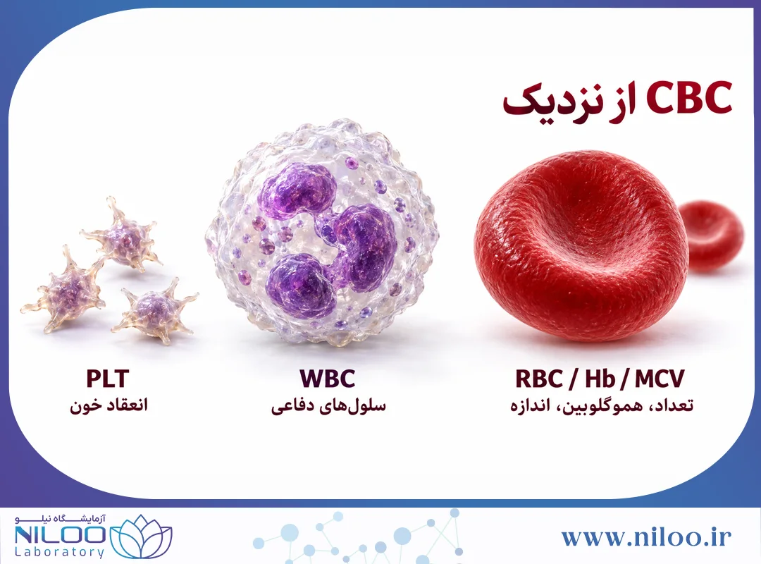 تفسیر CBC در آزمایش خون