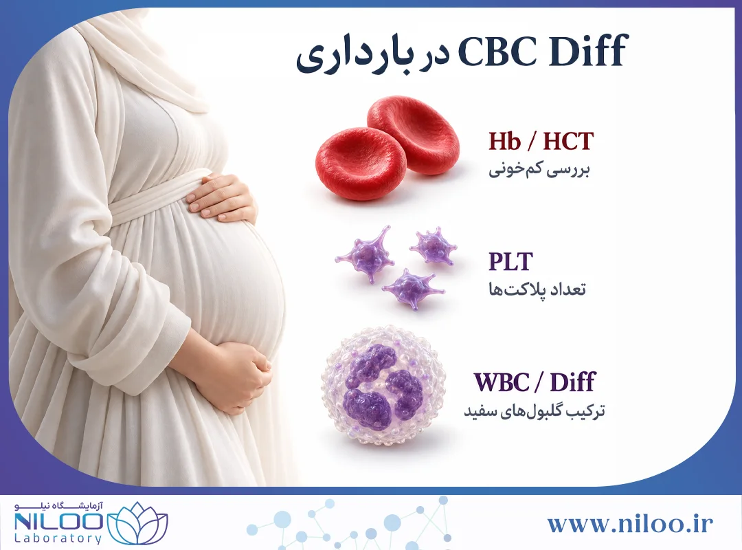 آزمایش CBC Diff در بارداری